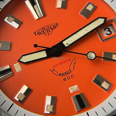 Tavernier Squale 600