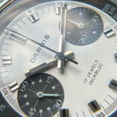Darris Chronograph Paul Newman Dial